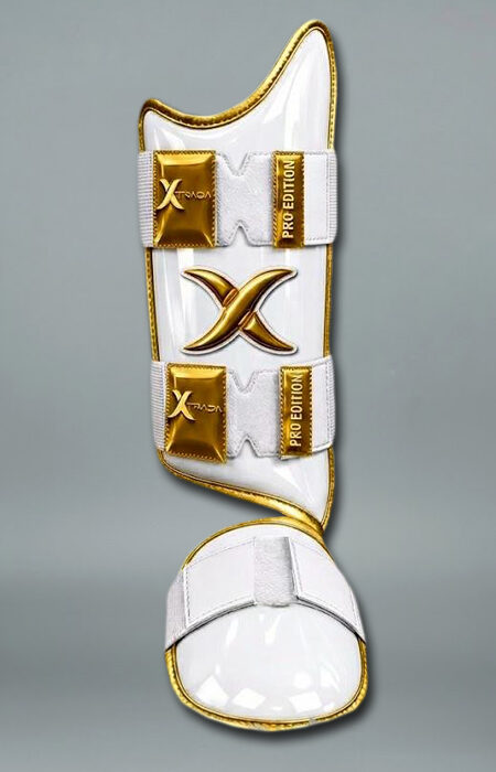 PRESIDENT GOLD
